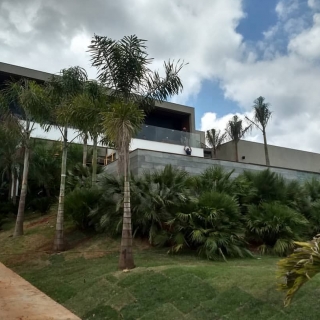 ARQUITETURA RICARDO TERADAIA 